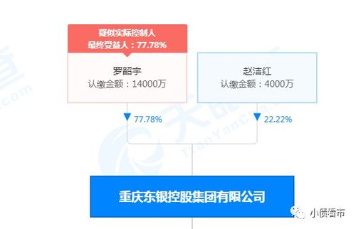 东银控股：化解债务危机的最后一公里挑战——化债冲刺时刻的最新进展