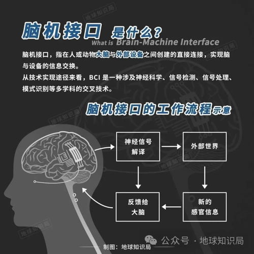 全方位解析：多种脑机接口技术路线的‘竞技’，商业化的挑战与机遇