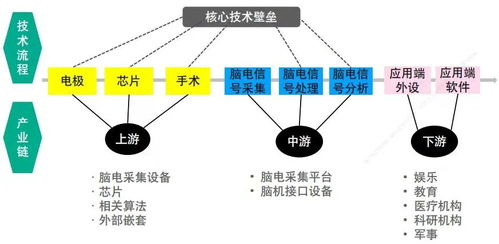 全方位解析：多种脑机接口技术路线的‘竞技’，商业化的挑战与机遇