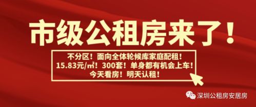 永定区：深度推广家庭教育向阳花开行动，照亮农村学校的明天