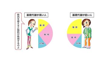 减肥秘籍：提升基础代谢率的五个关键步骤，让你在运动与饮食之间找到平衡