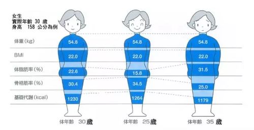 减肥秘籍：提升基础代谢率的五个关键步骤，让你在运动与饮食之间找到平衡