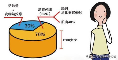 减肥秘籍：提升基础代谢率的五个关键步骤，让你在运动与饮食之间找到平衡