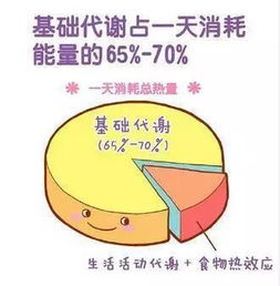 减肥秘籍：提升基础代谢率的五个关键步骤，让你在运动与饮食之间找到平衡