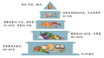 年轻人为什么易患高血压？如何调整生活方式以预防高盐饮食影响