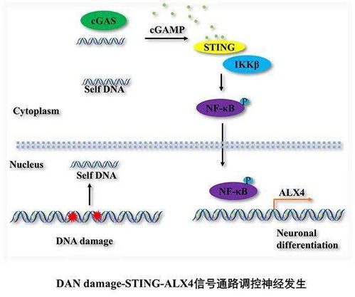 揭示：新研究彻底改变我们对「慢」电子的理解