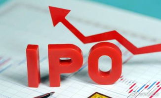 树莓派冲刺IPO：估值35亿，CEO分享创业心得与成功秘诀