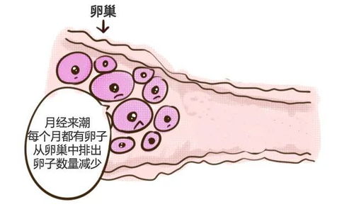 治愈梦想，手术意外揭示未通输卵管：在另一家医院痛失生育机会的新闻报道