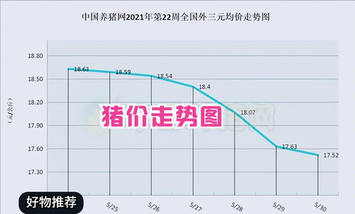 新起跑线！零跑C16震撼来袭，价格屠夫是否真的来了?