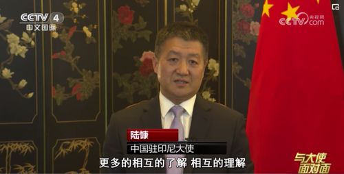 中国驻印尼大使陆慷回国，揭秘其在印尼期间的工作与影响力