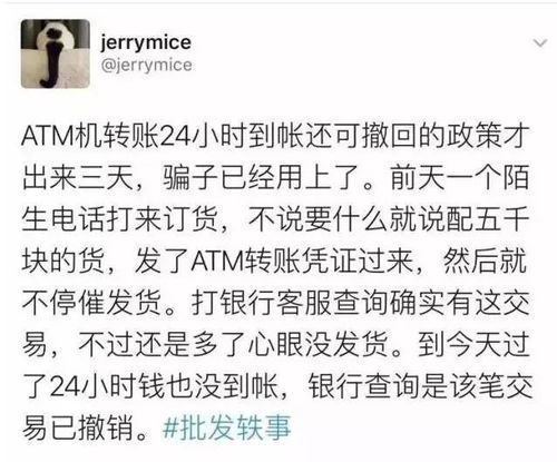 网红界的惊天大瓜！歌手文叶控诉雷雨诈骗未付抚养费，揭示背后的诡异细节