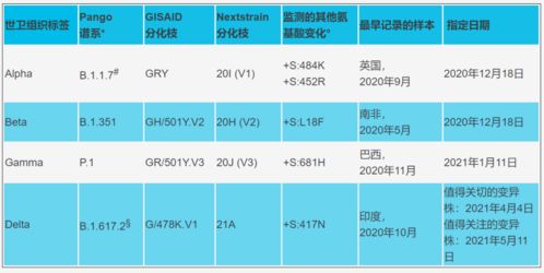 新冠病毒KP.2变异株：新变种引发关注，新的疫情高峰风险预警