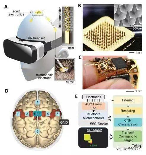 科学家提出新型微针电极阵列解决方案，开启新世代脑机接口与电化学传感的先河