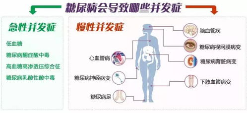 双糖激酶抵抗型2型糖尿病：除了血糖还要关注哪些因素？这篇文章为您揭示答案