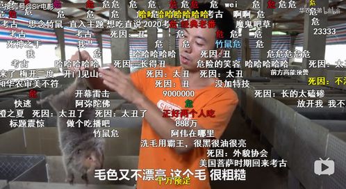 互联网大揭秘：养殖基地惊现成千上万只龙虾被疯狂抢夺，老板欲哭无泪，经济损失数十万元