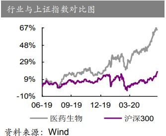 海运价格下半年有望降温：行业领导者或将引领市场走势