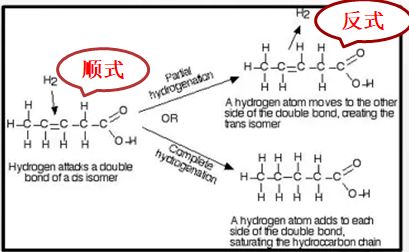 「反式脂肪」卷土重来？揭秘其主要来源并非氢化油和植脂末，竟然是它