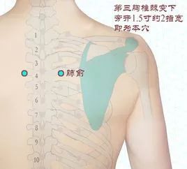 夏季过敏性鼻炎预防与缓解：为何如此常见及如何应对?