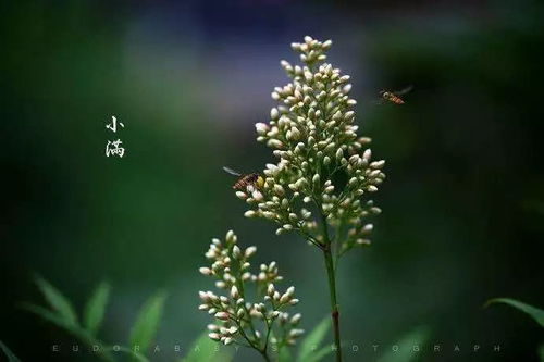 小满季节，如何养阳燥湿?