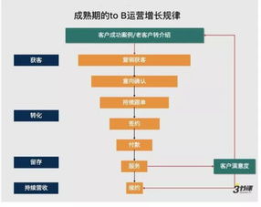 中国To B业务挑战重重：为何需要深入理解市场动态?