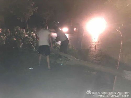 菏泽树哥一夜走红的背后：4个原因揭秘网络热爆人物