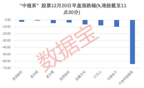 北上资金与QFII的海外投资流入：时间线分析与前瞻展望