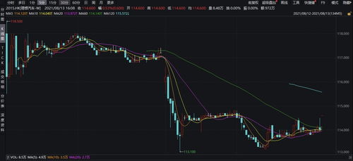 新闻速报：投资者起诉理想汽车重大裁撤，股价或将面临严重下滑