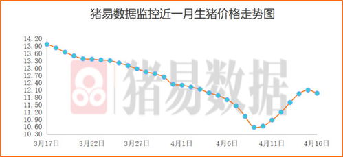 详解上车猪肉板块投资策略与建议：如何选择、购买并盈利？