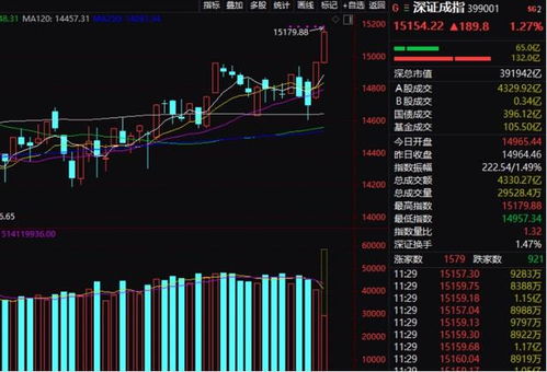 详解上车猪肉板块投资策略与建议：如何选择、购买并盈利？