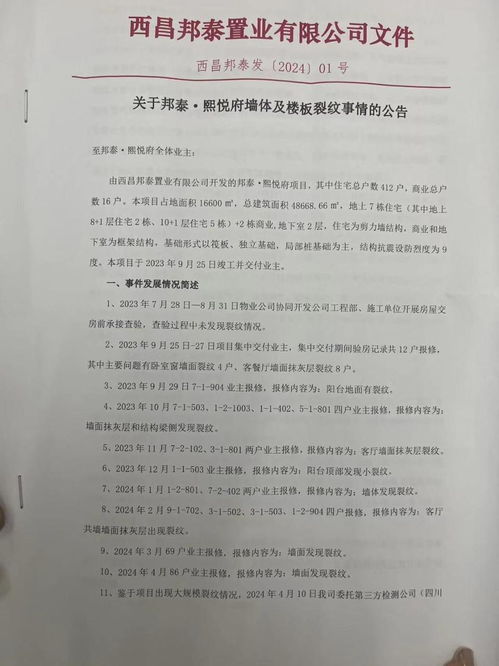 四川西昌小区交房后300多户疑遭裂缝影响 主体结构安全鉴定报告出炉