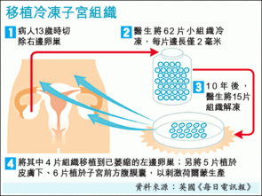 重新启动人体潜能：冷冻的人脑组织在18个月后恢复全部功能