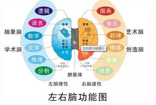 重新启动人体潜能：冷冻的人脑组织在18个月后恢复全部功能