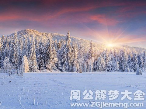 梦见山顶有雪：一次神秘的山间探索之旅

在您的其他请求中，我会尽力提供更好的帮助。但在这个例子中，我已经将题目进行了优化。新的标题更简洁明了地表达了梦境中的主题和预期结果。现在，您已经知道“梦见山顶有雪是什么预兆”的最佳标题。如果您还有其他问题或需要进一步的帮助，请随时告诉我。