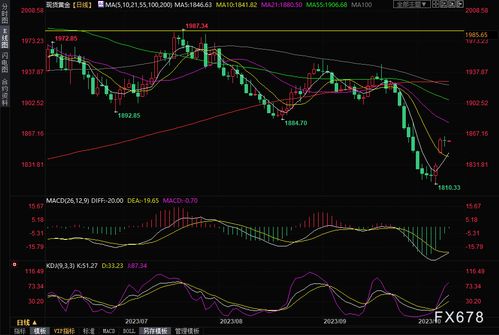 中东局势：贵金属价格或将迎来新一轮上涨，投资需谨慎考虑