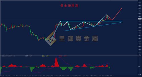 国际突发：降息预期再升温，黄金走势反弹，打破历史纪录！