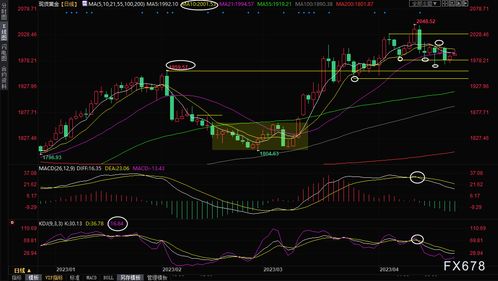 国际突发：降息预期再升温，黄金走势反弹，打破历史纪录！