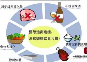 科学家揭示不良饮食习惯可能增加患癌风险：未来潜力标志物有望构建