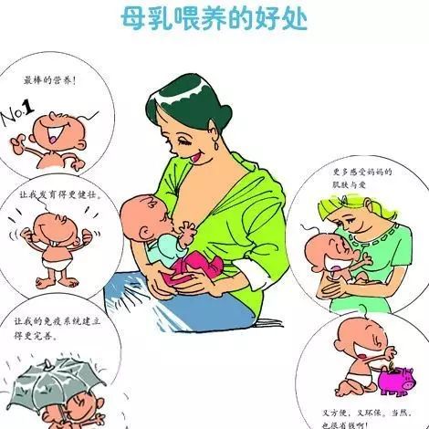 详解母乳喂养：专家看法与建议