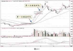 揭秘：为何最近的榴莲价格出现了大幅下跌？原因剖析及应对策略