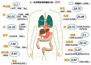 轻度升高不必惊慌，显著升高要警惕：怎样看CA242的肿瘤标志