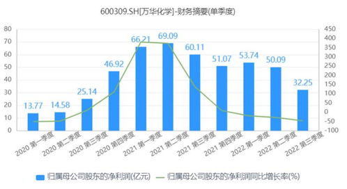 市值上千亿的化工巨头背后惊现财务欺诈案：中泰化学被揭露财务造假，百多万散户频遭踩踏，行业风雨再起！