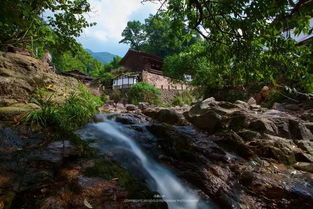 南京的美景：孙毅与孩子一起探索山水城林中的快乐