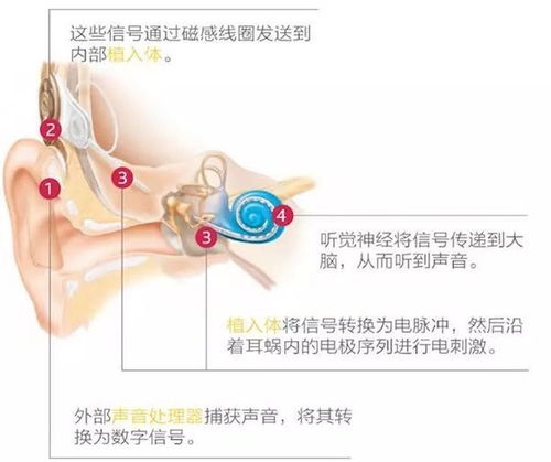 ‘如此大规模的手术我却只花了1000元’，这个孩子终于能无后顾之忧地接受治疗了