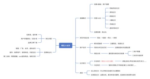 陌生人社交平台的发展历程与现状探析