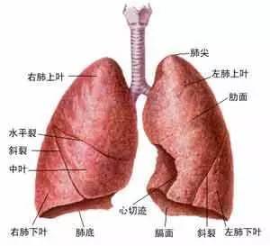 肺癌肿瘤标志物中的异常升高：哪些情况可能表明病情恶化？