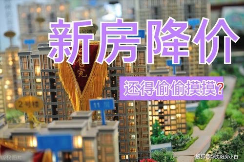 深圳楼市现‘人山人海’现象，竞争激烈依旧以购房优惠为主导