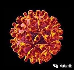 结核杆菌与HIV：一对联手的「杀手」病毒，破坏我们的免疫系统