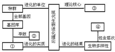 解析古老进化理论：重新审视达尔文的最新研究数据