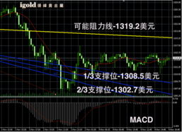 贵金属价格为何在低位徘徊后突然冲高？背后解析引关注