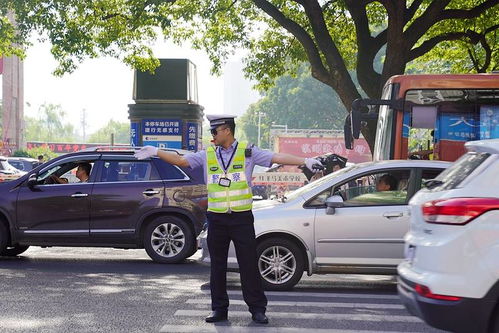 马英九卸任后将由8名警察轮班守护重要网站，过渡期结束详细规划曝光